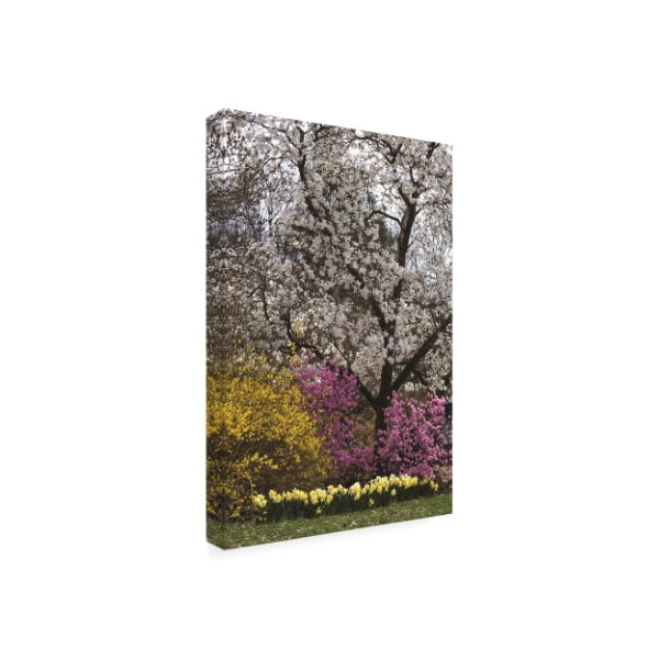 Kurt Shaffer Photographs 'Multi-color Spring Explosion' Canvas Art,16x24